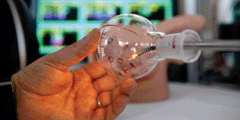 Image: The telerobotic system shown in a glass flask about the size of a human bladder (Photo courtesy of Joe Howell / Vanderbilt).